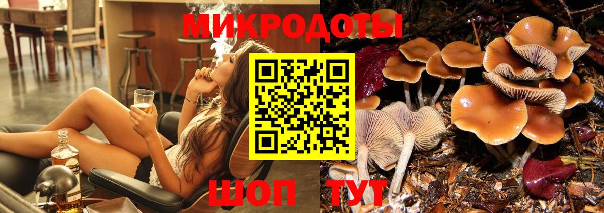 Галлюциногенные грибы Magic Shrooms Волгоград