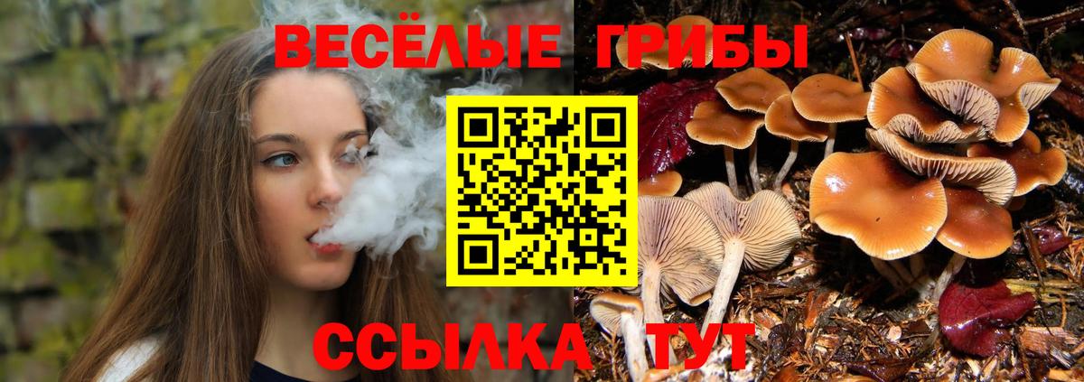 Псилоцибиновые грибы MAGIC MUSHROOMS  Вход с VPN  магазин    Волгоград  Галлюциногенные грибы MAGIC MUSHROOMS 